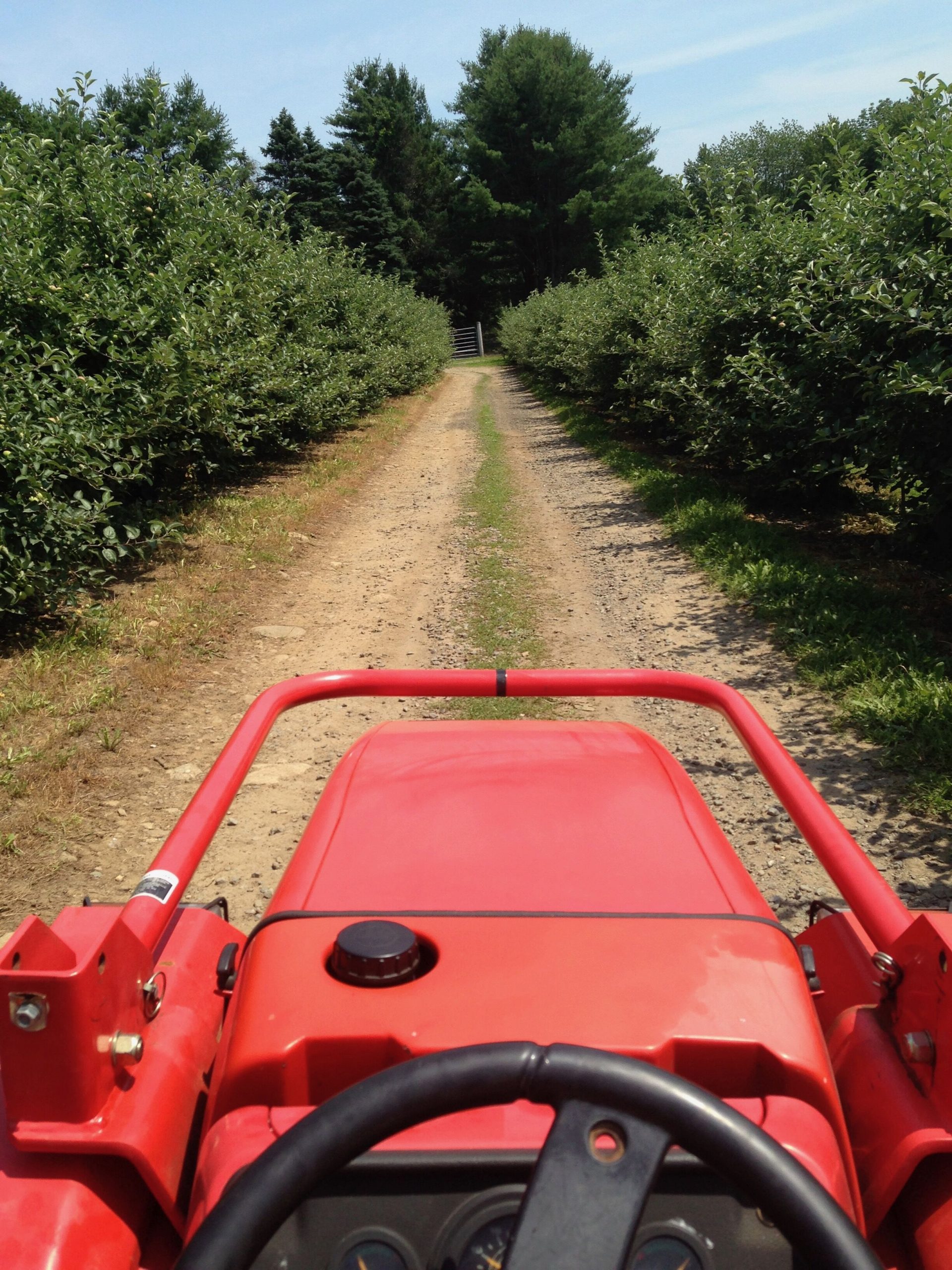 Silverman's Farm photo 28